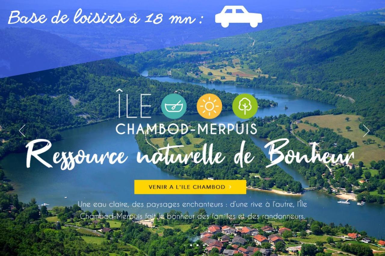 L'Emeraude - 1 A 4P - Wifi Fibre - Parking Gratuit Pont d'Ain Bagian luar foto