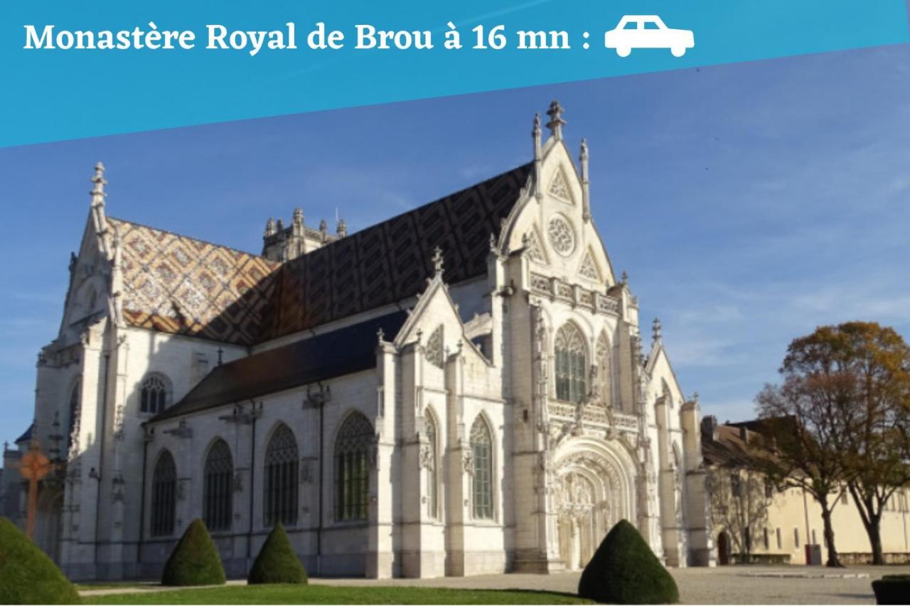 L'Emeraude - 1 A 4P - Wifi Fibre - Parking Gratuit Pont d'Ain Bagian luar foto
