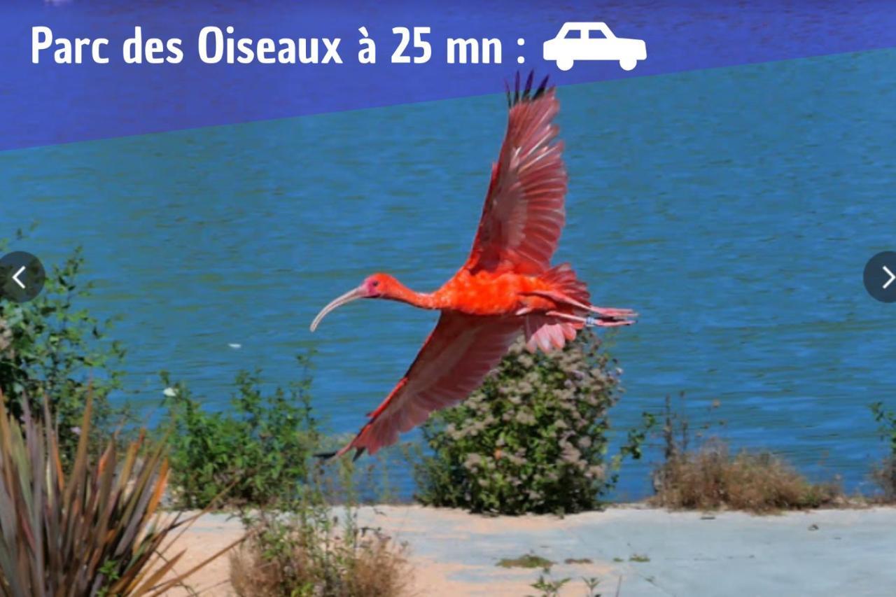 L'Emeraude - 1 A 4P - Wifi Fibre - Parking Gratuit Pont d'Ain Bagian luar foto